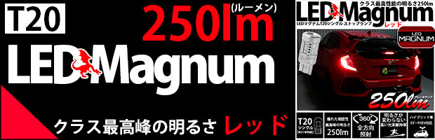 T20s LEDMAGNUM 250lm 2個