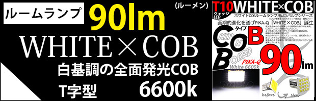 T10 WCOBタイプB T字型 1セット1個入