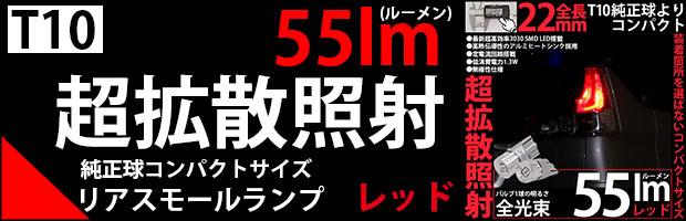 T10 コンパクトレッド 55lm 2個