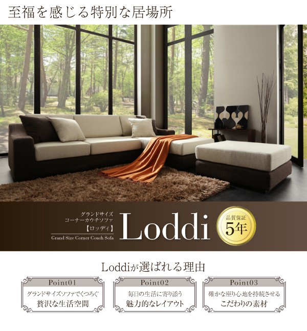 Gufalda/グゥファルダ ユーロデザインソファ 2人掛け 幅147cm 奥行95cm 高さ84cm 通販 - ディノス