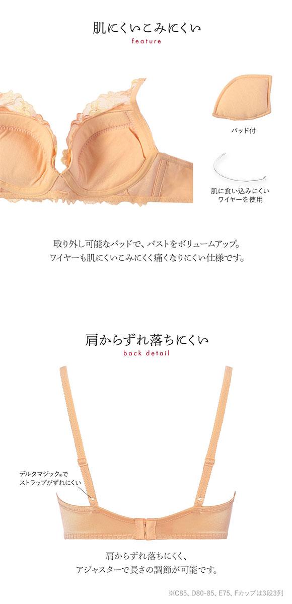 トリンプ