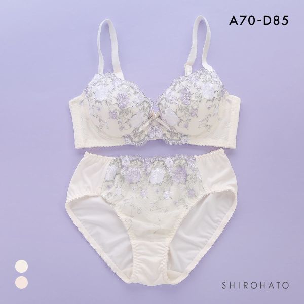 段差すっきり体験