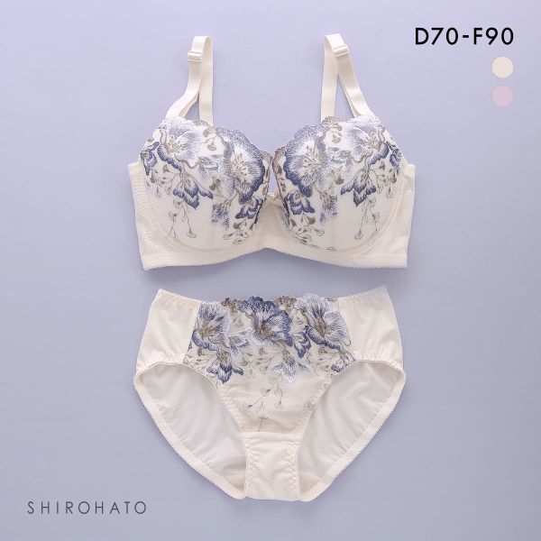 段差すっきり体験