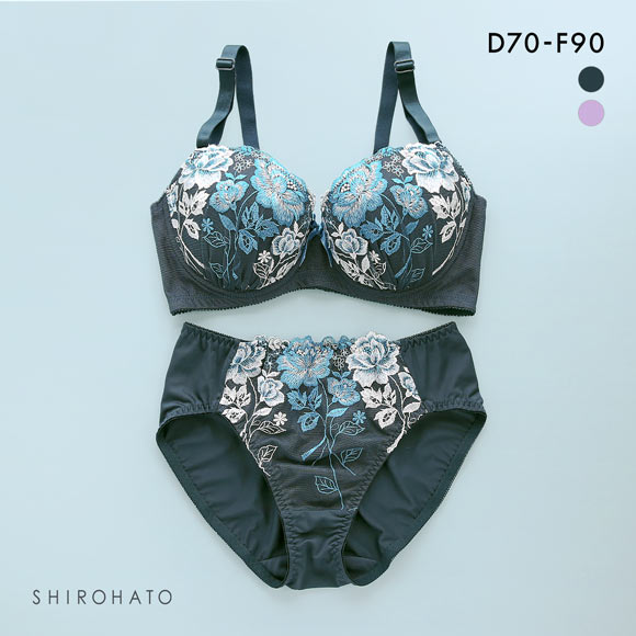 段差すっきり体験