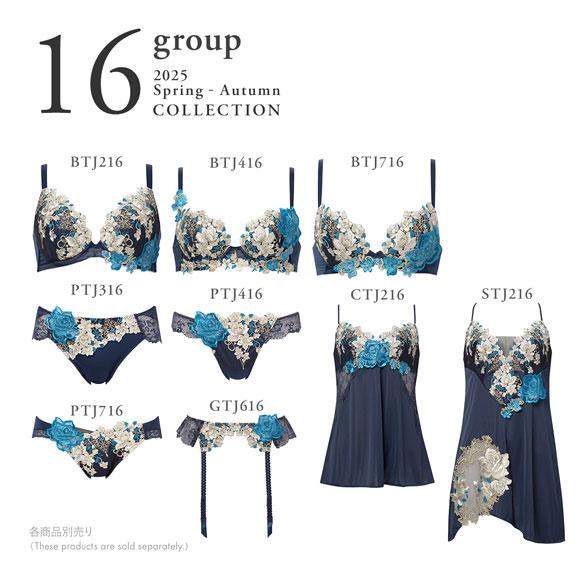 30％OFF【送料無料】 ワコール サルート 16グループ 16G P-UP