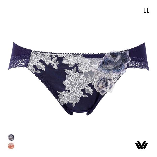 ワコール プレミアム 22series BXD022 22G クイーンサイズ 3/4カップ