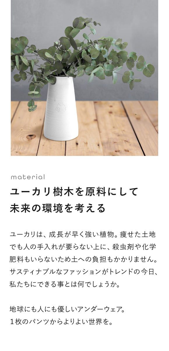 ティーエムコレクション