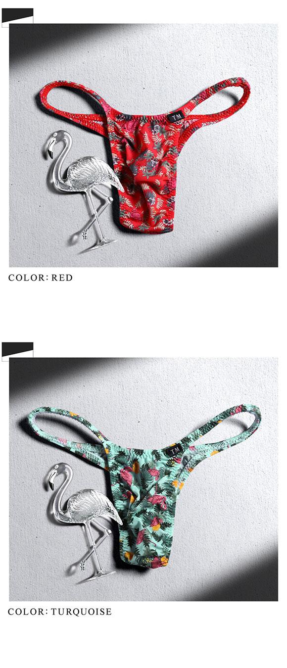 ティーエムコレクション