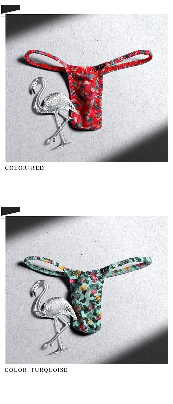 ティーエムコレクション