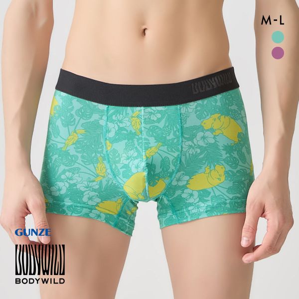 ﾎﾞﾃﾞｨﾜｲﾙﾄﾞ