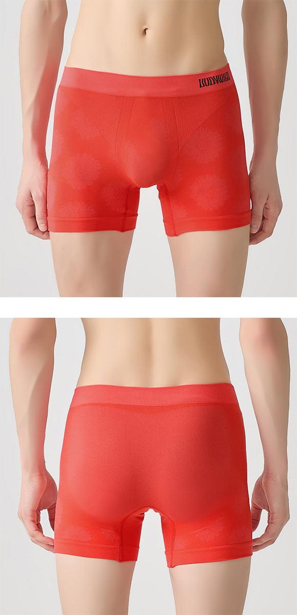 ボディワイルド