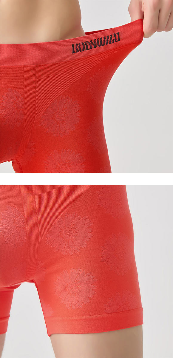 ボディワイルド