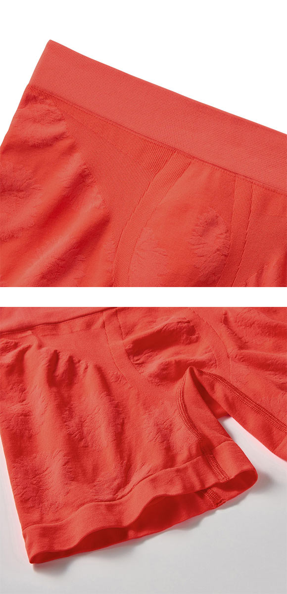 ボディワイルド