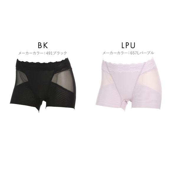 アツギ