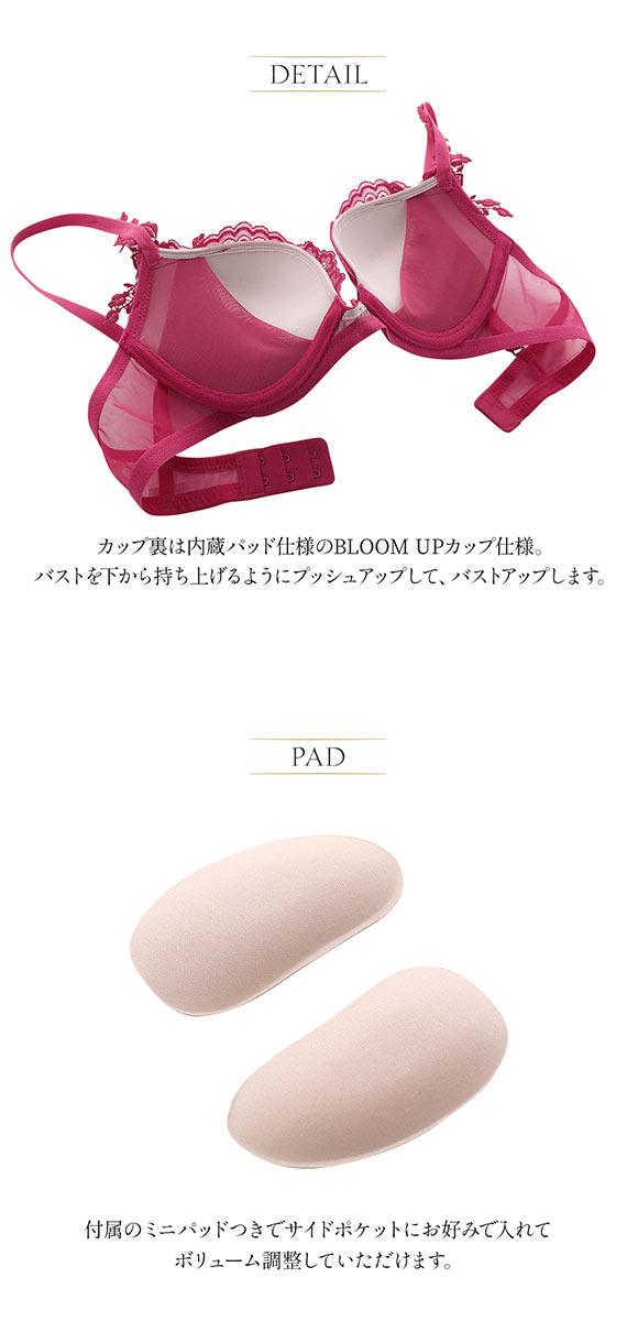 アンブラ