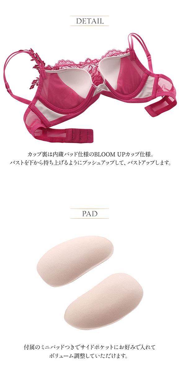 アンブラ