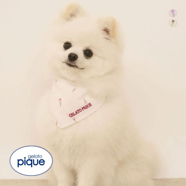 ｼﾞｪﾗｰﾄﾋﾟｹ