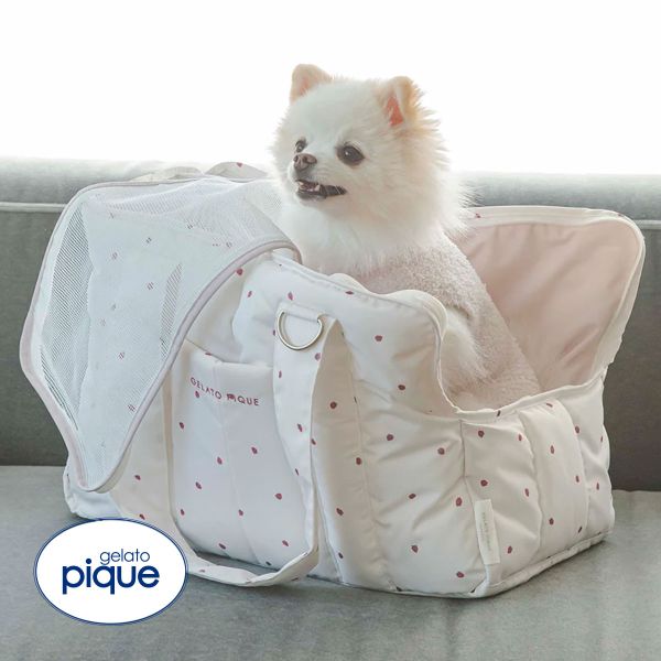 ｼﾞｪﾗｰﾄﾋﾟｹ