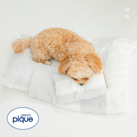 ジェラートピケ