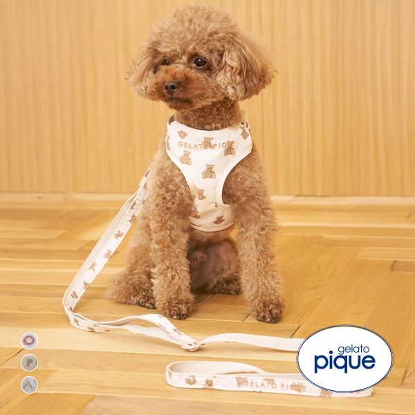 ｼﾞｪﾗｰﾄﾋﾟｹ