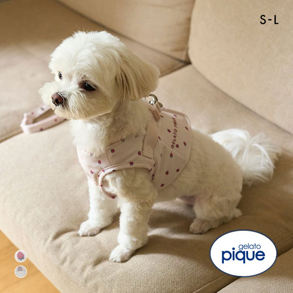 ジェラートピケ