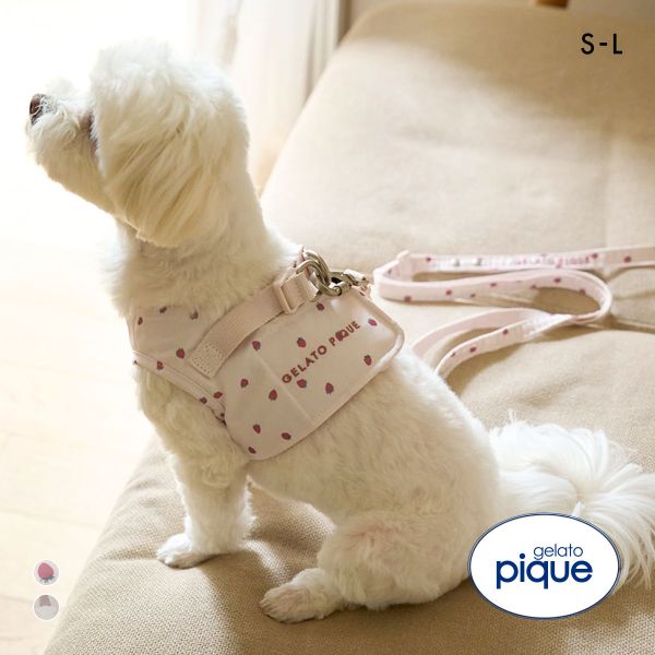 ｼﾞｪﾗｰﾄﾋﾟｹ