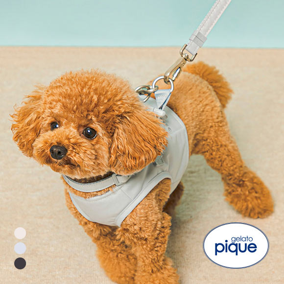 ジェラートピケ