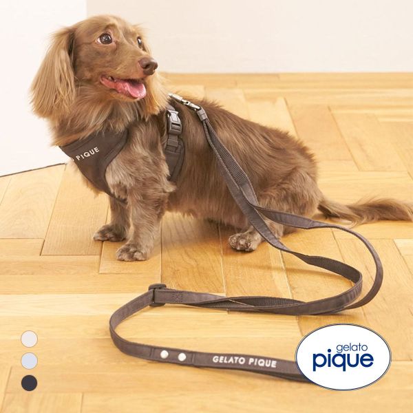 ｼﾞｪﾗｰﾄﾋﾟｹ