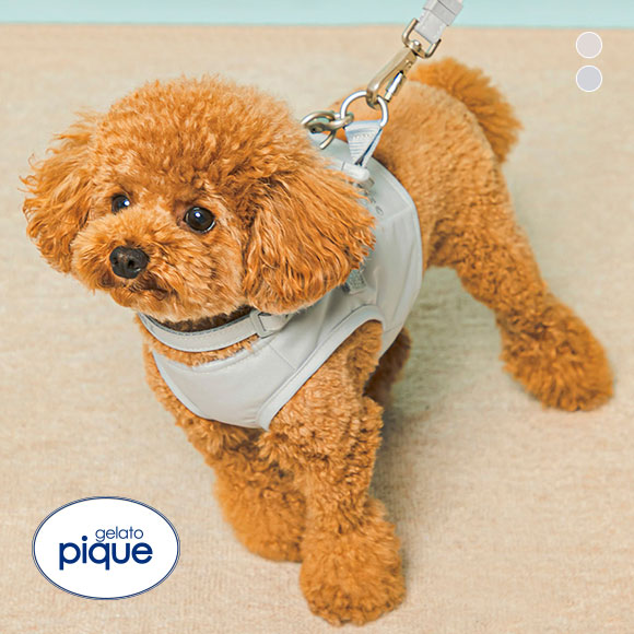 ジェラートピケ