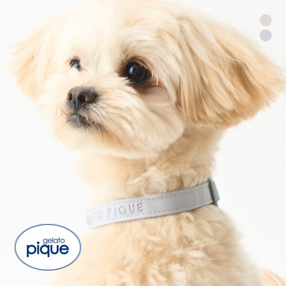 ジェラートピケ