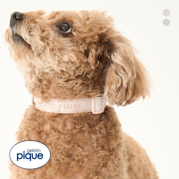 ｼﾞｪﾗｰﾄﾋﾟｹ