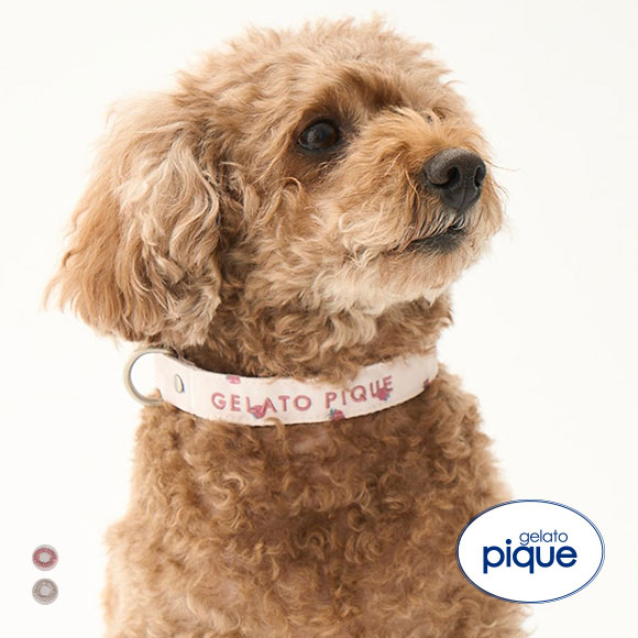 ジェラートピケ