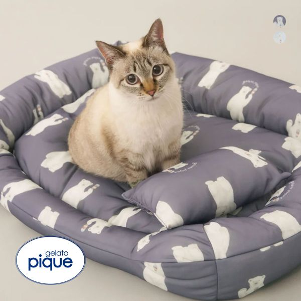 ｼﾞｪﾗｰﾄﾋﾟｹ