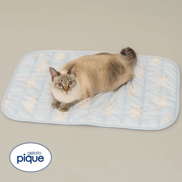 ｼﾞｪﾗｰﾄﾋﾟｹ