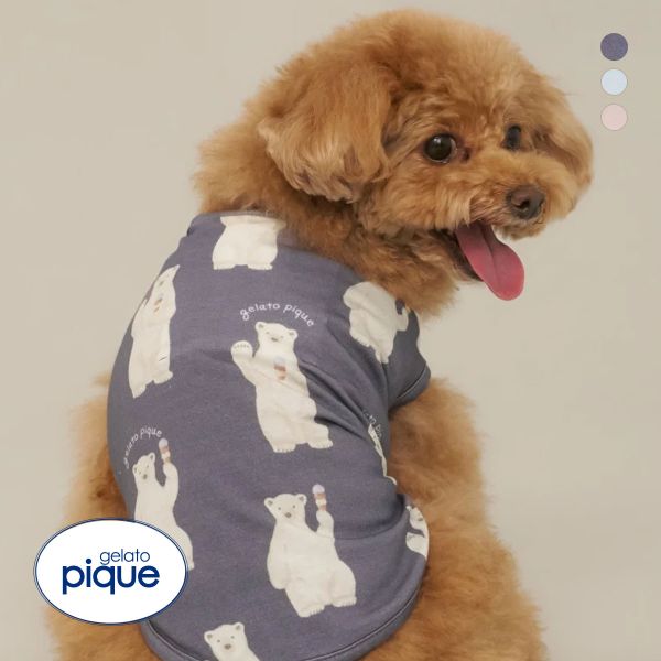 ｼﾞｪﾗｰﾄﾋﾟｹ