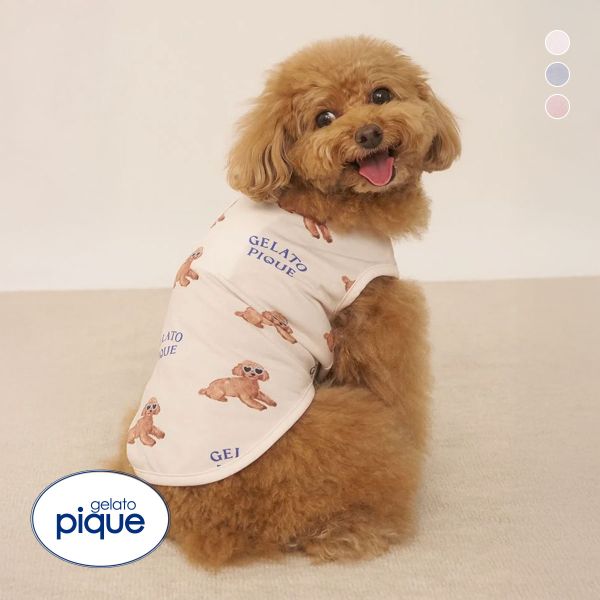 ｼﾞｪﾗｰﾄﾋﾟｹ