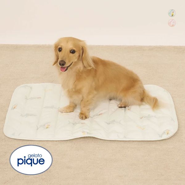 ｼﾞｪﾗｰﾄﾋﾟｹ