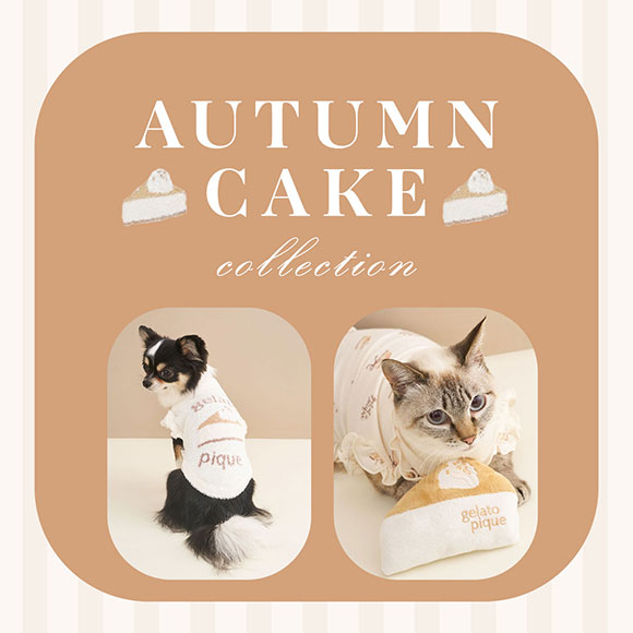 ジェラートピケ