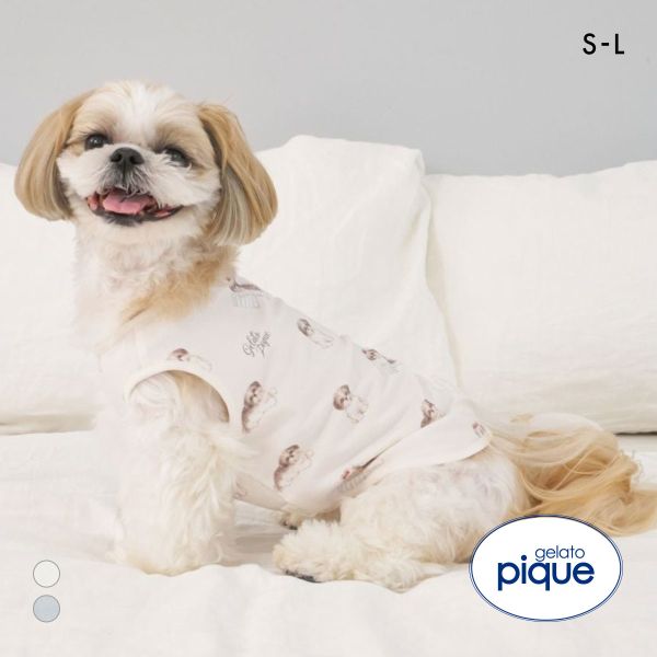 ジェラートピケ