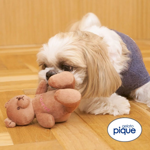 ジェラートピケ