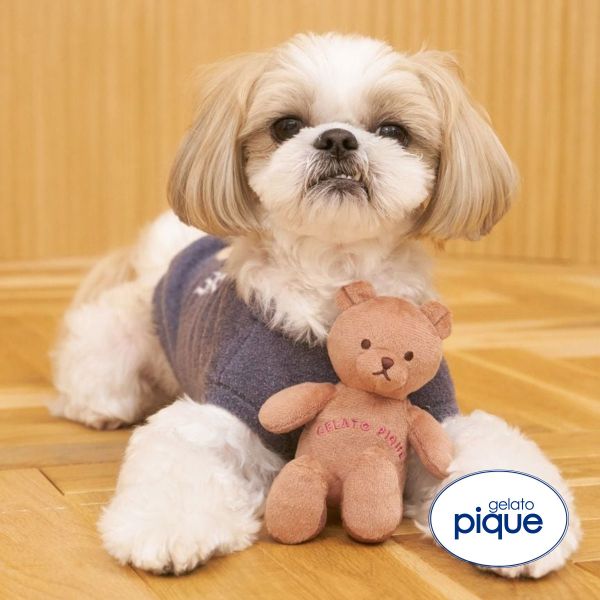 ｼﾞｪﾗｰﾄﾋﾟｹ