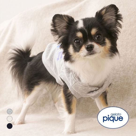 ジェラートピケ