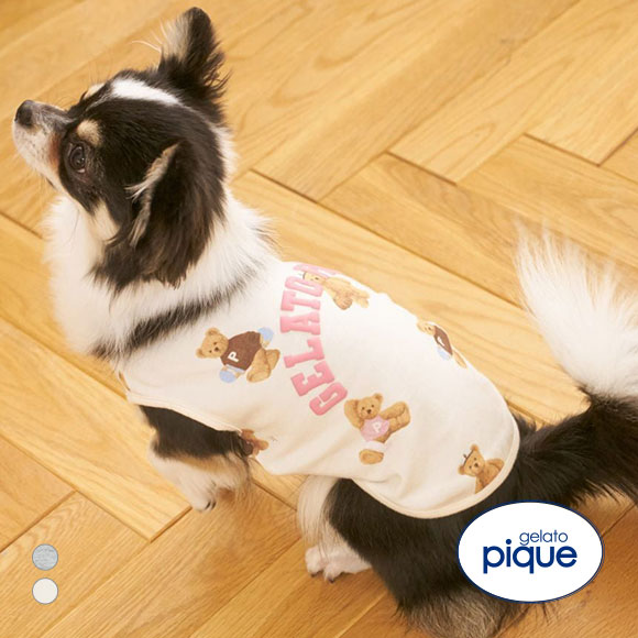 ジェラートピケ