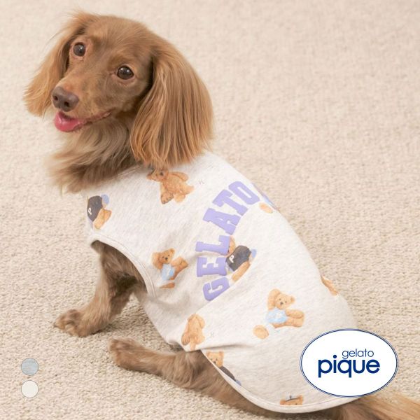 ｼﾞｪﾗｰﾄﾋﾟｹ