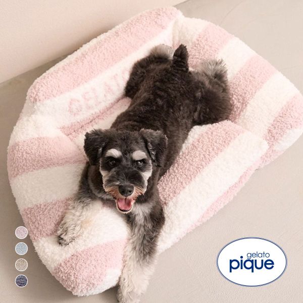 ｼﾞｪﾗｰﾄﾋﾟｹ