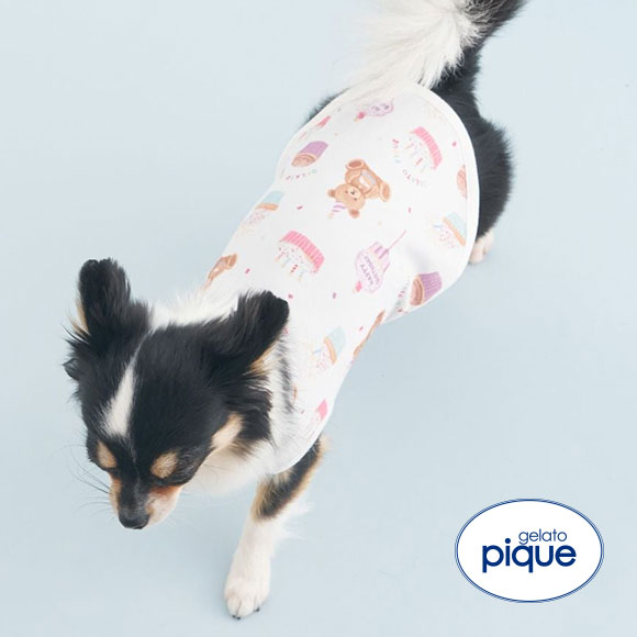 ジェラートピケ