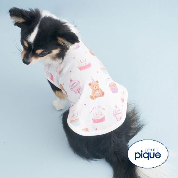 ｼﾞｪﾗｰﾄﾋﾟｹ