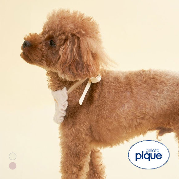 ジェラートピケ