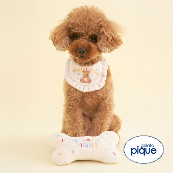 ジェラートピケ