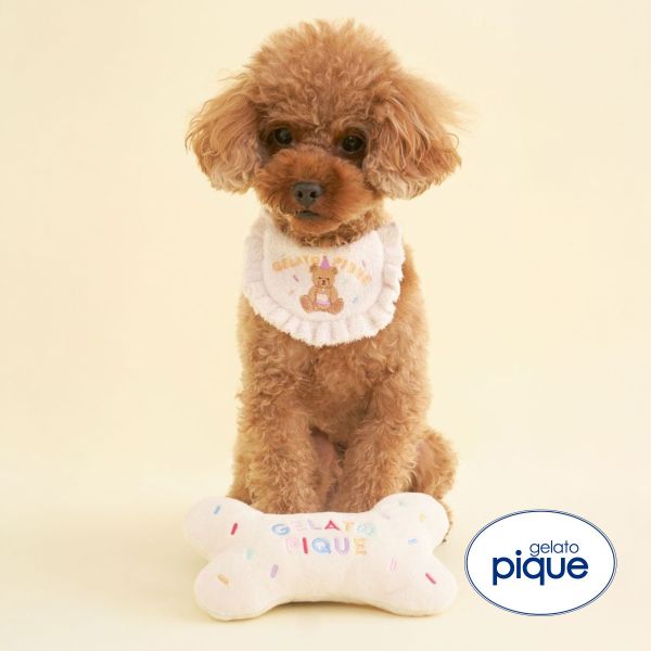 ｼﾞｪﾗｰﾄﾋﾟｹ